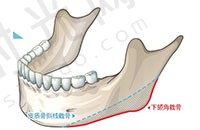 V-LINEu74dcu5b50u8138u624bu672f