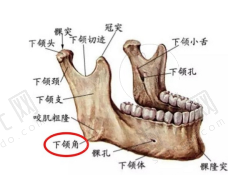 如何选择适合自己的清迈医美医院