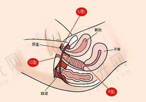 上海阴道紧缩术哪家好
