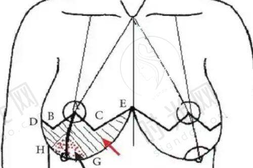 吕京陵医生预约挂号 tips
