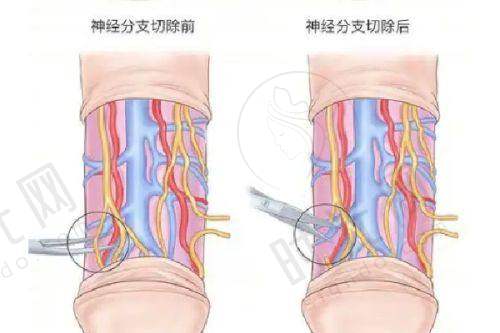 北京黄寺医疗美容