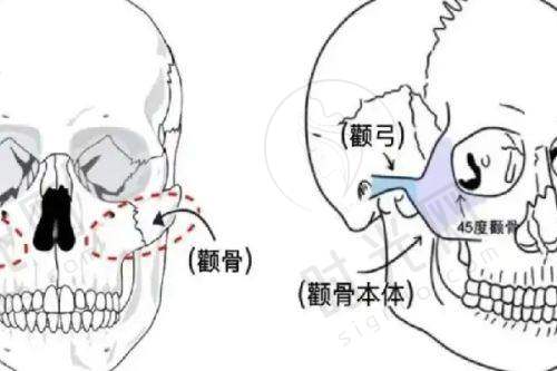 成都高新后美医疗美容医院价格表