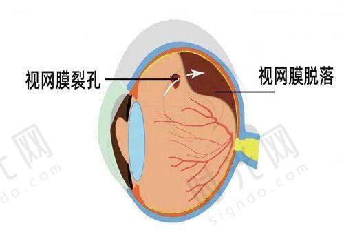 乔彤医生口碑评价及反馈内容