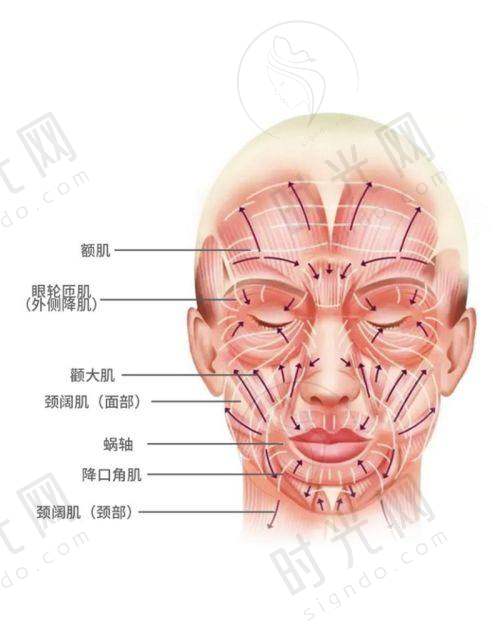三、北京加减美黄寅守面部提升技术优势，打造十年年轻态