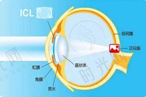 熊瑛医生执医荣誉