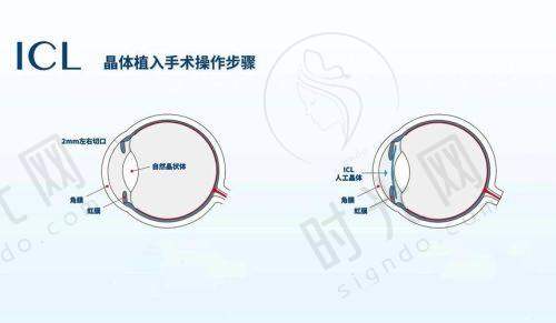 范建国医生价格表（2025年全新）