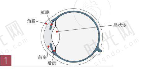 范建国医生预约挂号