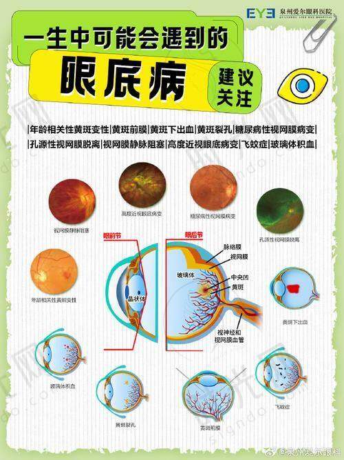 卓彦伶医生价格表（2025年全新）