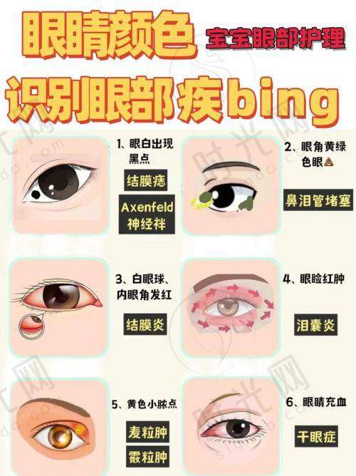 7、李晓清医生价格表（2025年全新）
