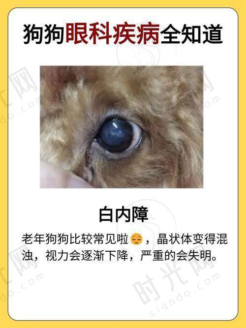 莫衍医生执医荣誉