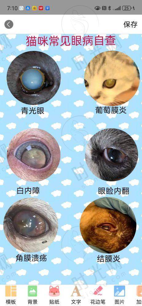2、严素清医生擅长项目