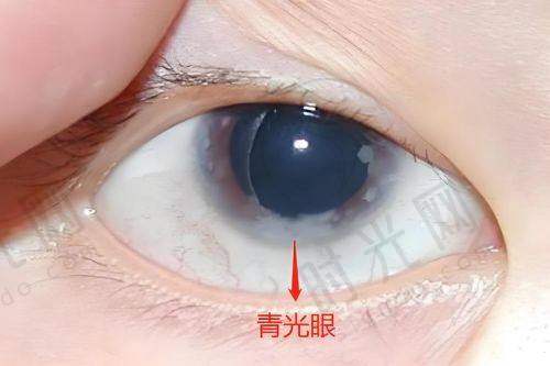 王乐今医生坐诊哪个医院？