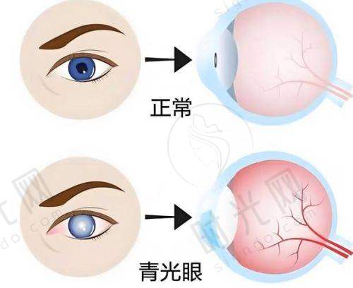 王乐今医生执医荣誉