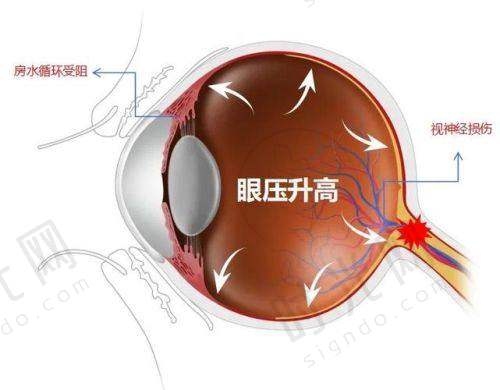 王乐今医生预约挂号