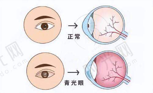 王乐今医生擅长项目