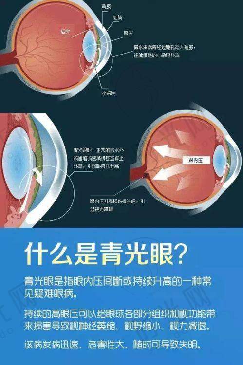 王立东医生坐诊哪个医院？