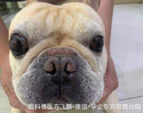 王乐今医生口碑评价及反馈内容