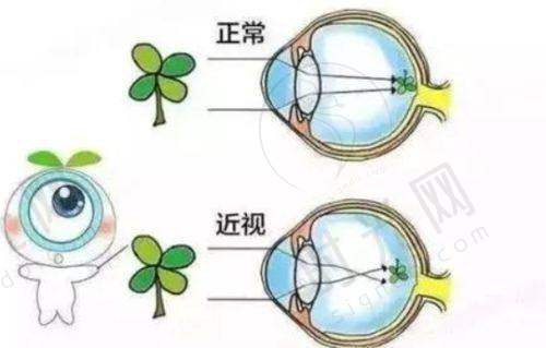 保定市第一中 心医院眼科口碑情况