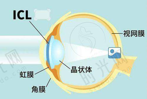 四、全文总结