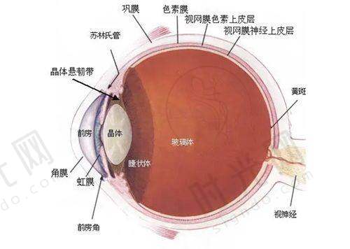 （二）赣南医学校第一附属医院白内障手术价格表