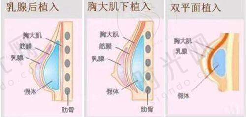 刘志刚医生执医荣誉