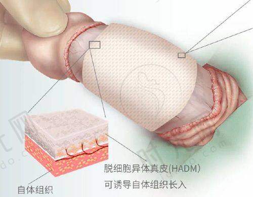 罗晓慧医生价格表（2025年全新）