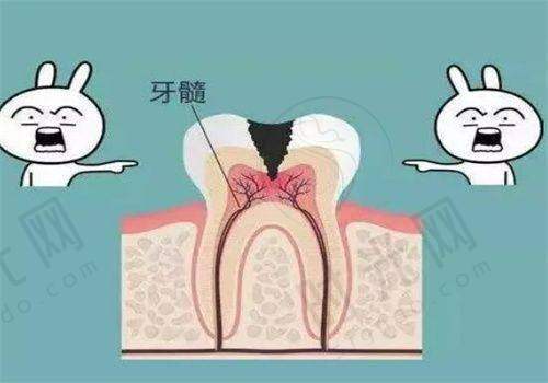 张美华医生擅长项目