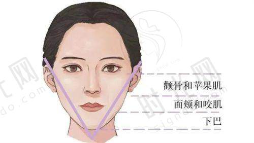 王琛医生预约挂号