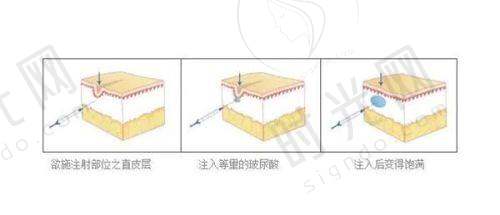 蒋兴医生执医荣誉