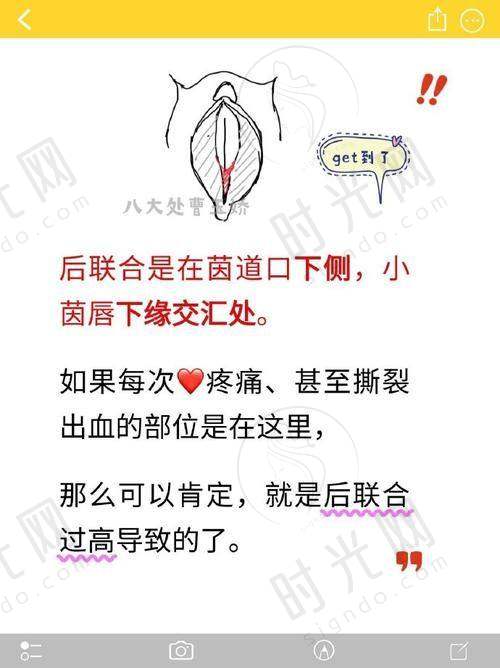 丁凤萍医生执医荣誉