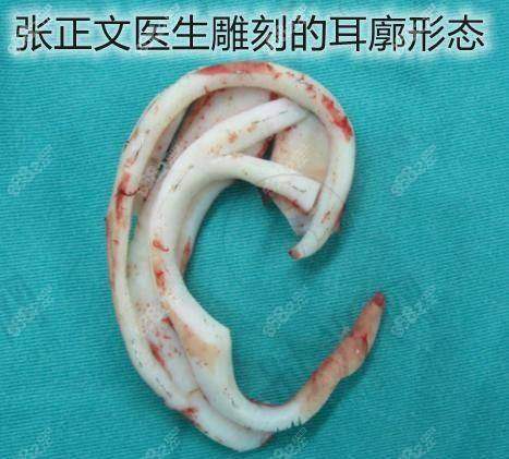 贾振华医生预约挂号