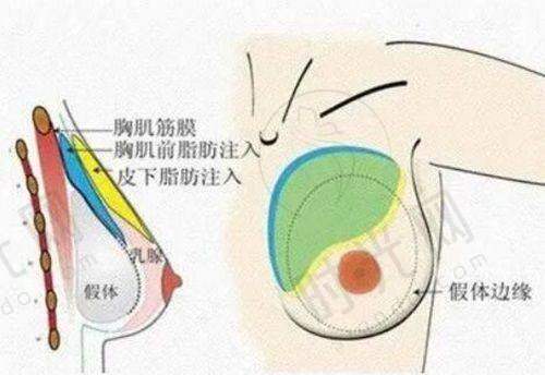 2025成都三等甲整形医院排名表地址