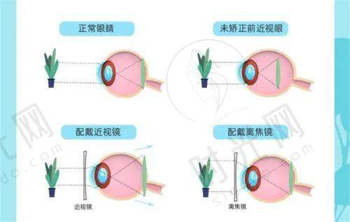 深圳善贝口腔门诊医生攻略