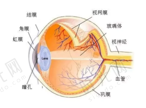 选择合肥中科 大眼科医院的理由