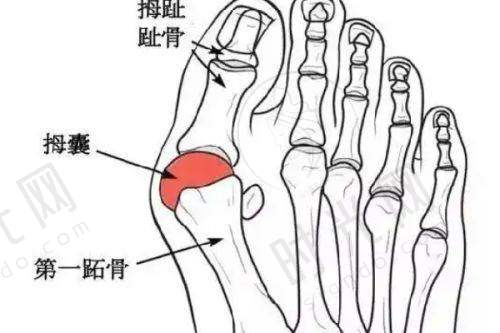 总结：薇旖美胶原蛋白多久打一次？科学抗衰不盲目