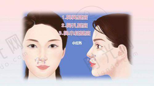 4mg极纯vs10mg至真：怎么选规格不花冤枉钱？