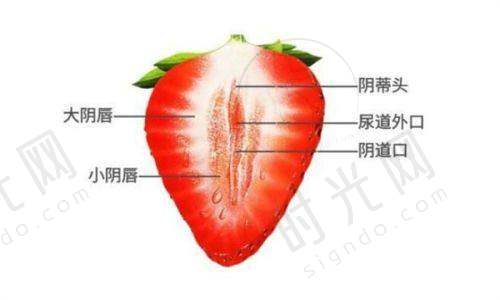 选择合适的阴道紧缩针及医院
