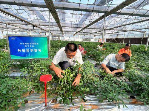 北京大学人民医院口腔科诊疗项目