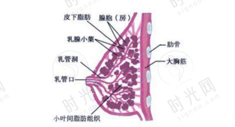 余文林博士的其他医美专长