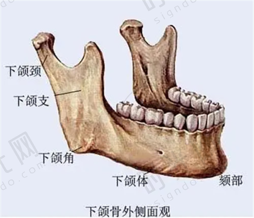上海排名前十隆鼻医生技术大揭秘