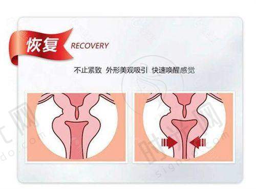 夏正义医生擅长项目