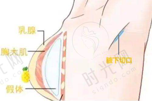 4、杜太超医生执医荣誉