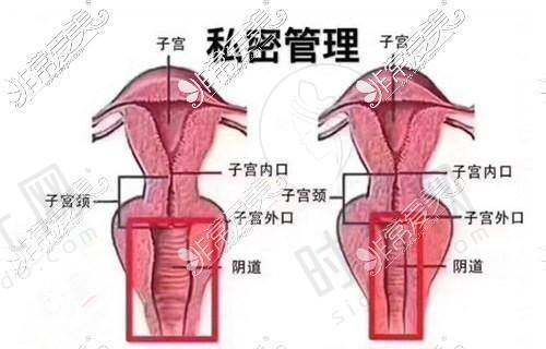 七、肖璇医生价格表（2025年全新）
