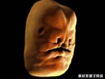 王克明医生价格表（2025年全新）
