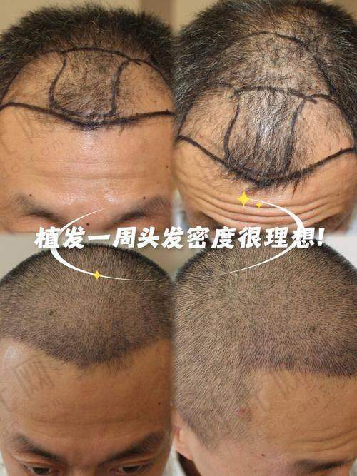 北京八大处整形外科医院地址