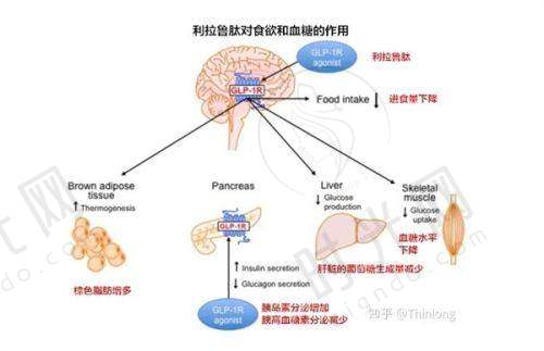 黄金矫正期：术后1 - 3周是“黄金时间窗”