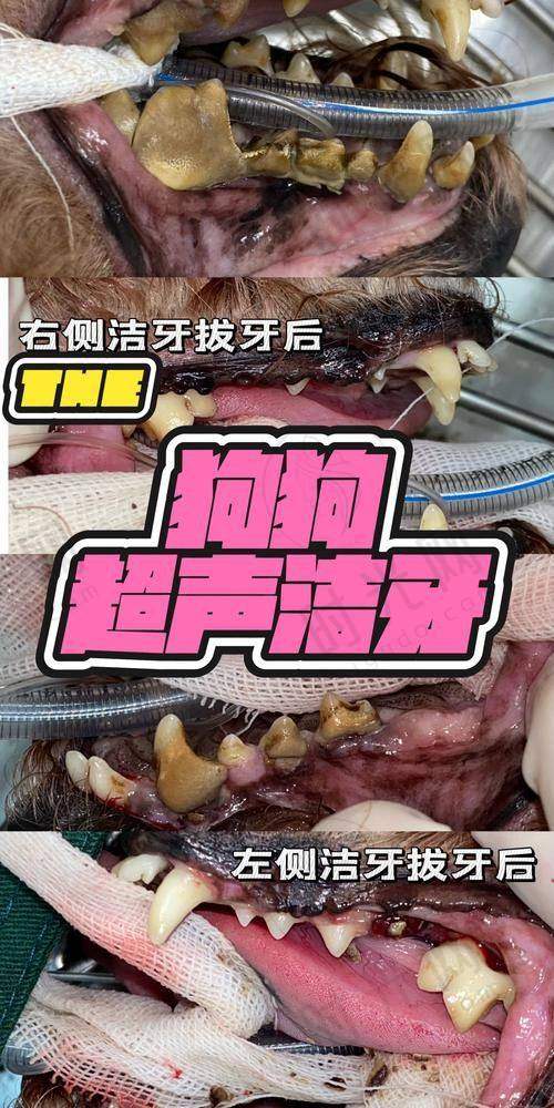 大家怎么评价宁波鄞州德中口腔种牙收费标准电话